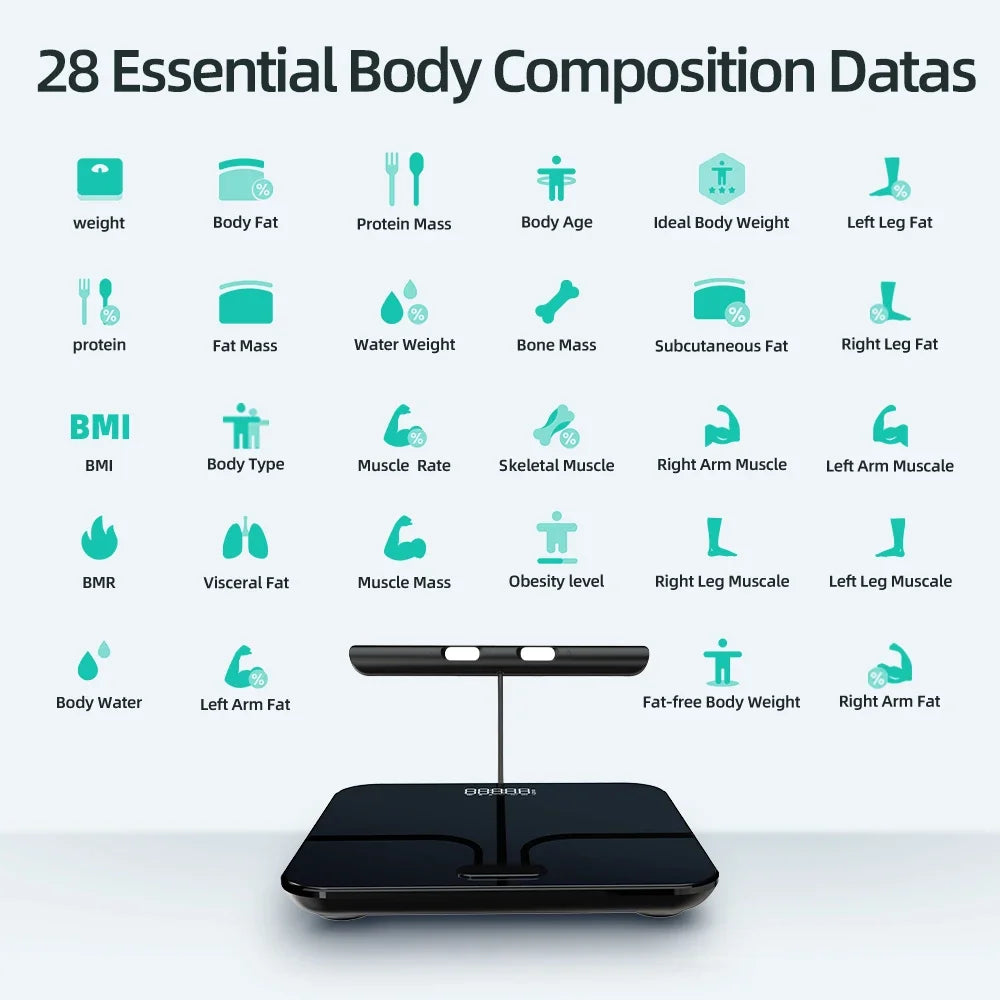 True Body Index